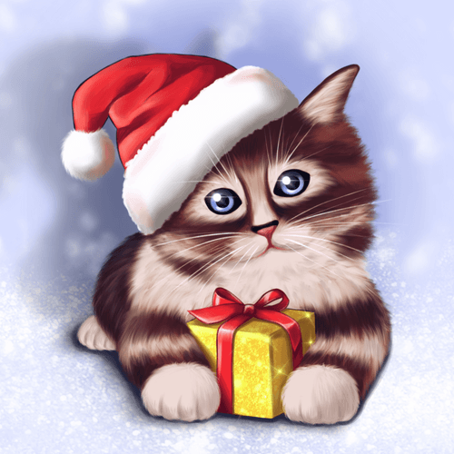 Christmas cat