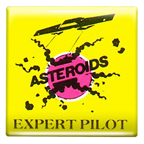 Expert Pilot