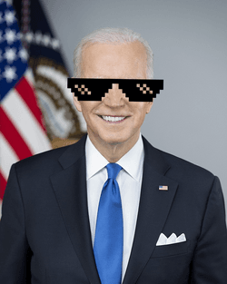 The Biden Digital Trading Cards collection image
