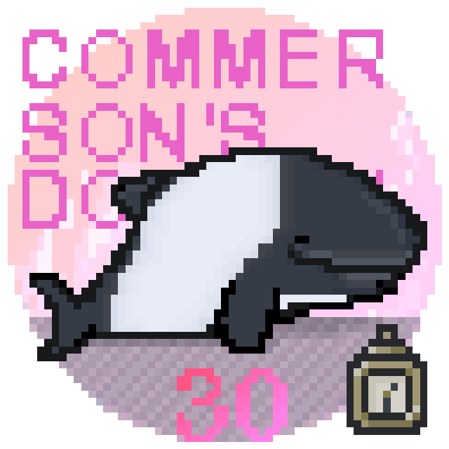 No.030_COMMERSON'S DOLPHIN - Pink color -