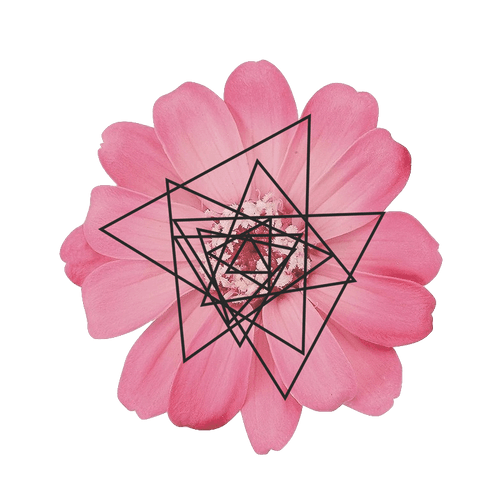 Triangle Flower 