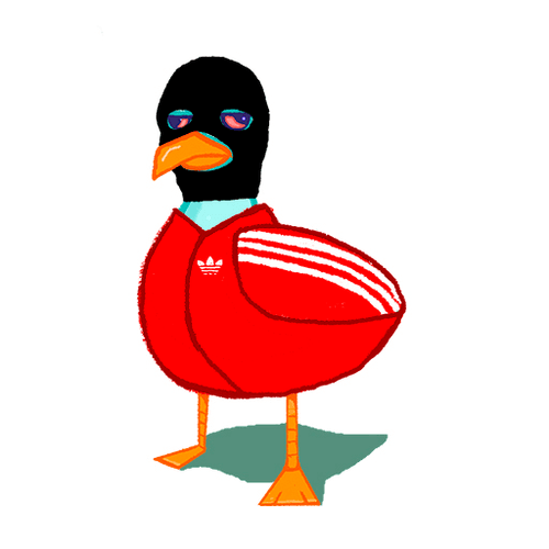 8bucksbirds