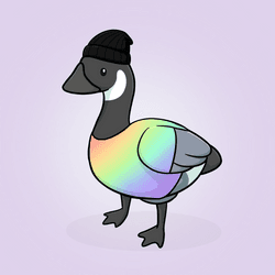 Honk #2855