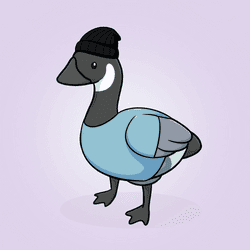 Honk #3408