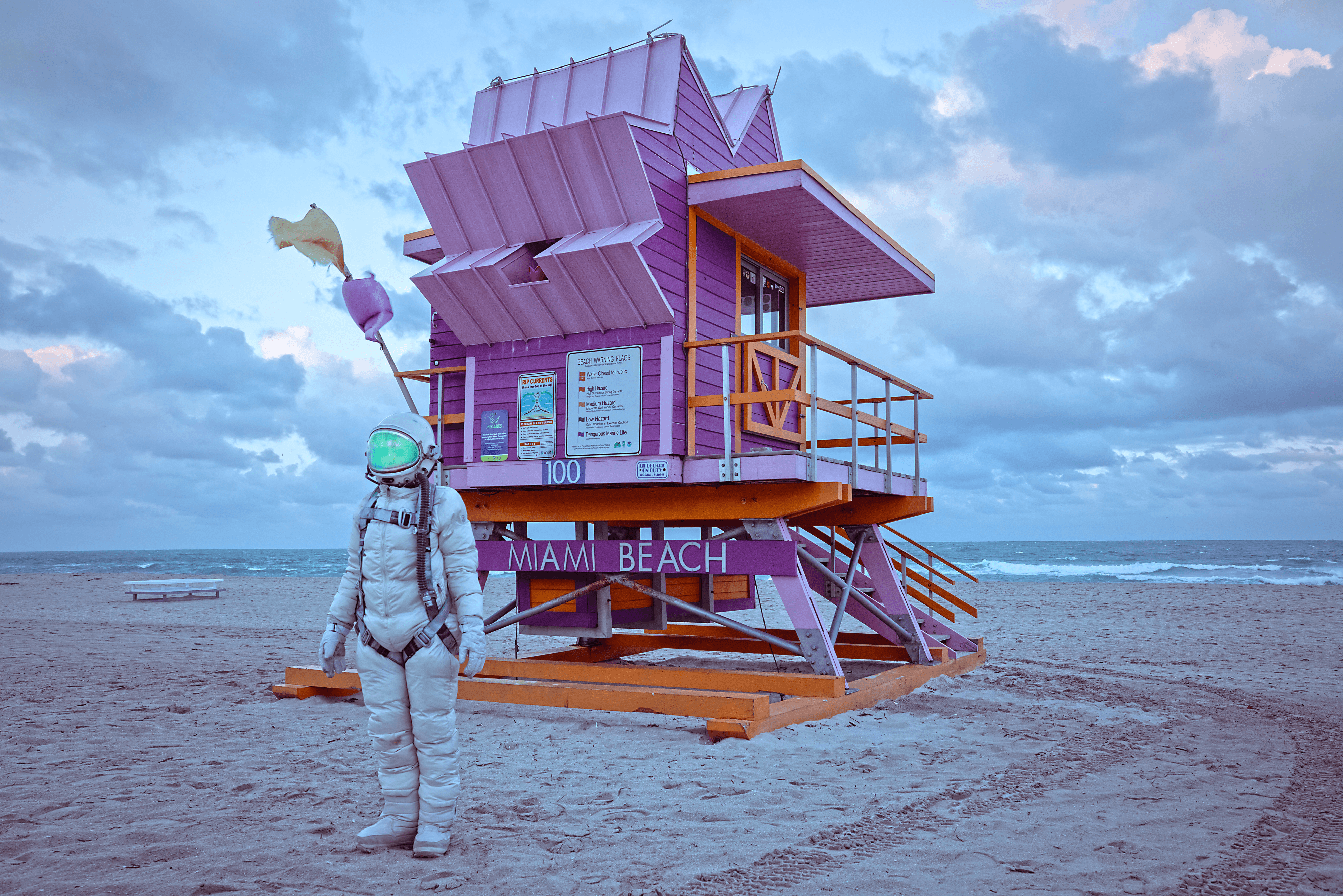 Miami Beach - Purple