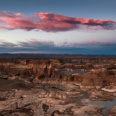 Nature's Cotton Candy by Steve Bennett
