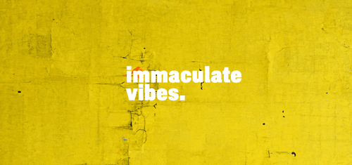 Immaculate Vibes: Genesis