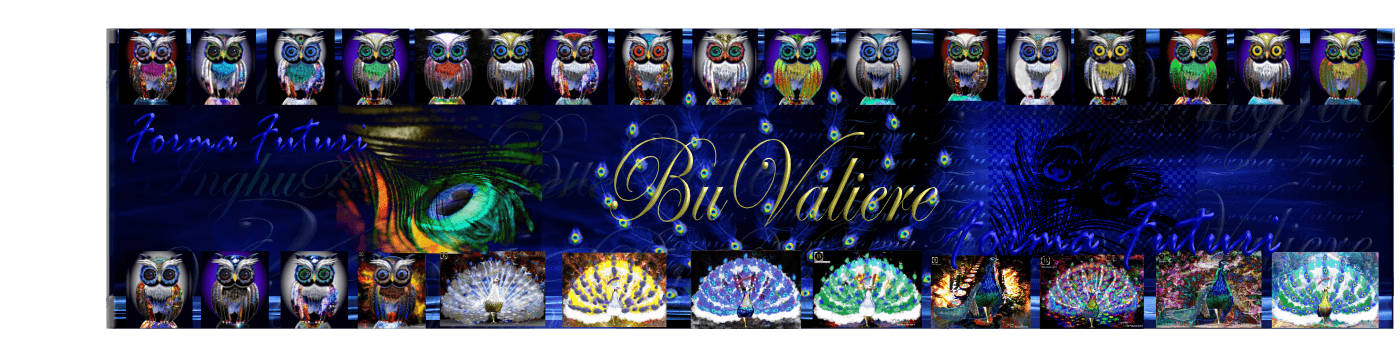 Buvaliere banner