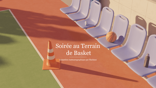 Soirée au Terrain de Basket