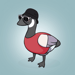 Honk #2011