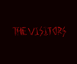 "The Visitors" collection image