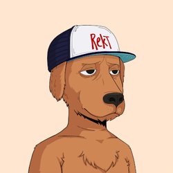 Rekt Dogs collection image