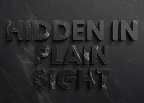 Hidden In Plain Sight