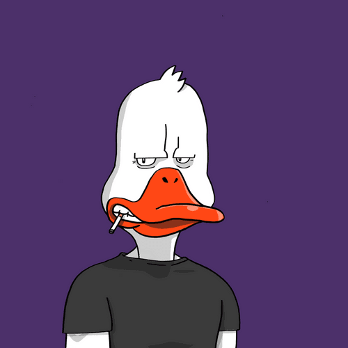 Duck #62