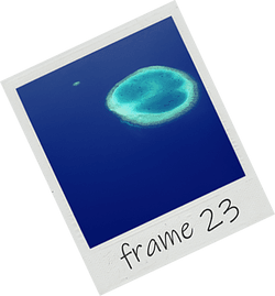Frame 23 collection image