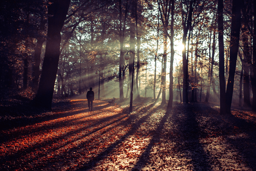Delicious Autumn
