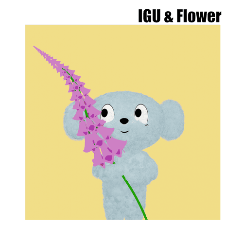 IGU×Digitalis