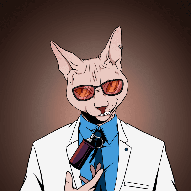YakuzaCat 2024 The Yakuza Cat Official OpenSea