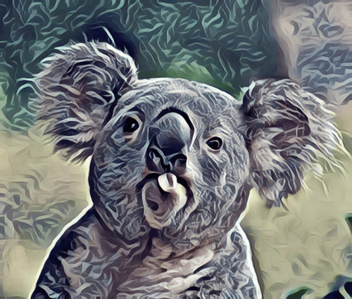 Funny koala