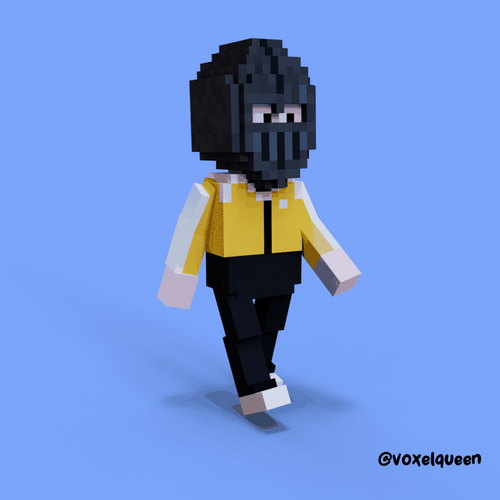 NakaVoxel #5565