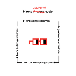 Nouns experiment cycle collection image