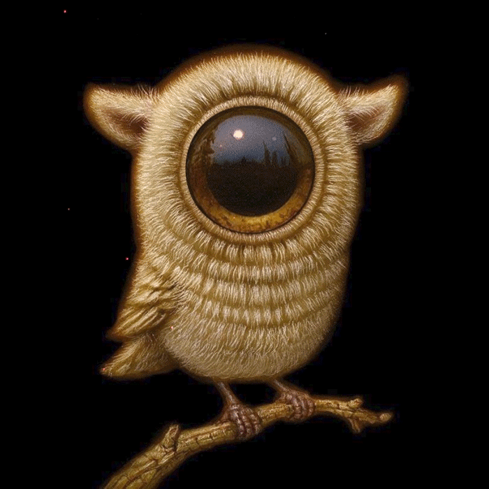 EyeBird