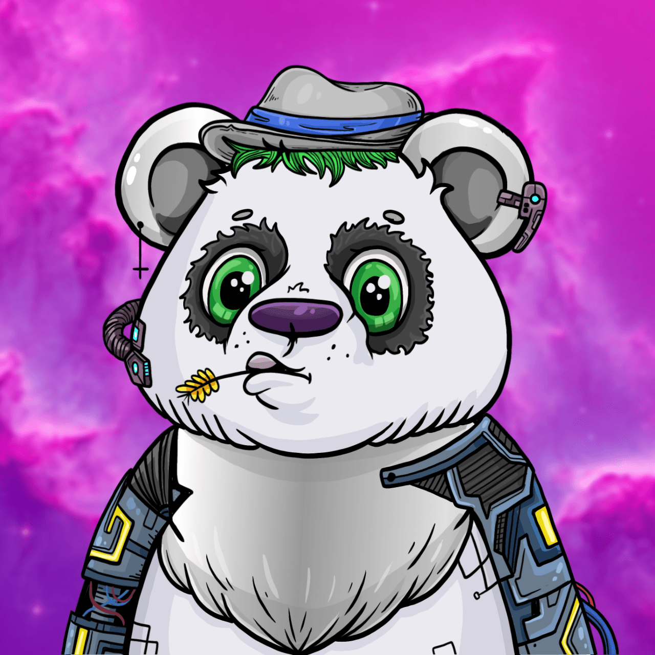 Polygon Panda #2424 - Polygon Pandas Space Club | OpenSea