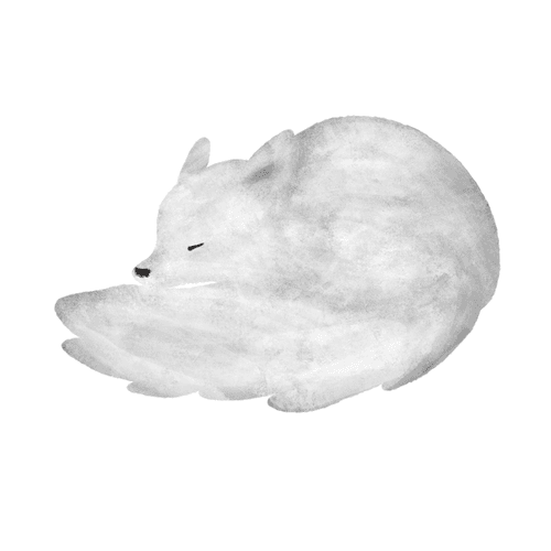 KITSUNE_Arctic fox