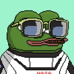 elonpepe collection image