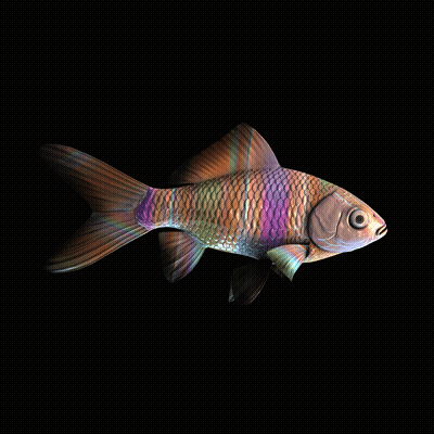 CryptoFish #5570