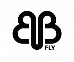 BBFLY NFTs collection image