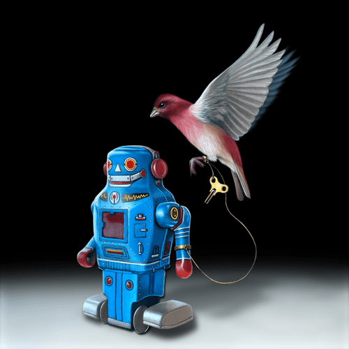 The Robot & the Finch