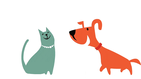 Doge&Cat collection image