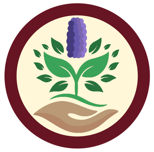 Hyacinth Auditor NFT