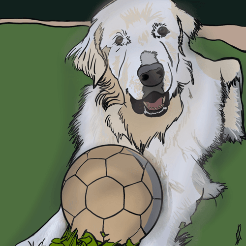 Soccer Bud