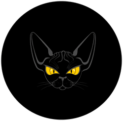 Toronto Sphynx Cat collection image
