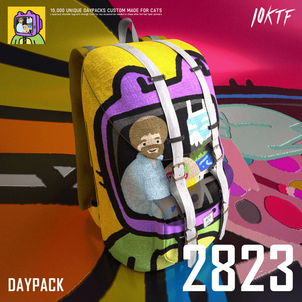 Cool Daypack #2823