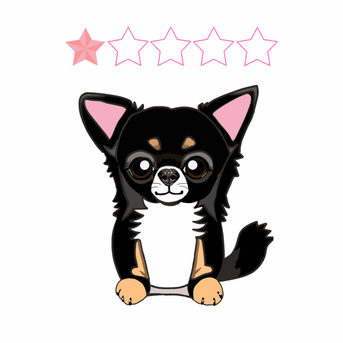 Chihuahua 1 star