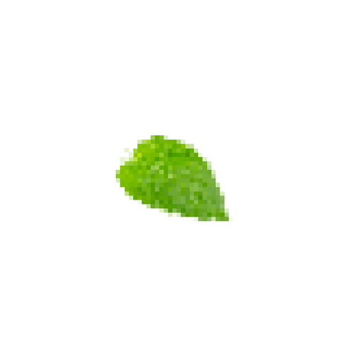 Expensive Mint