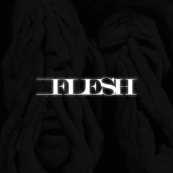 FLESH collection image