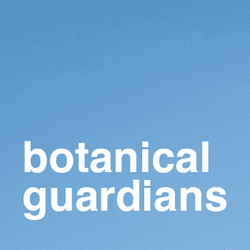 Botanical Guardians collection image