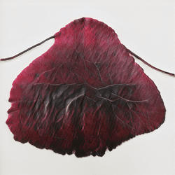 Leaves of Manifold, of Red and Gold by Helena Sarin collection image
