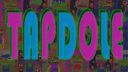 TAPDOLE collection image