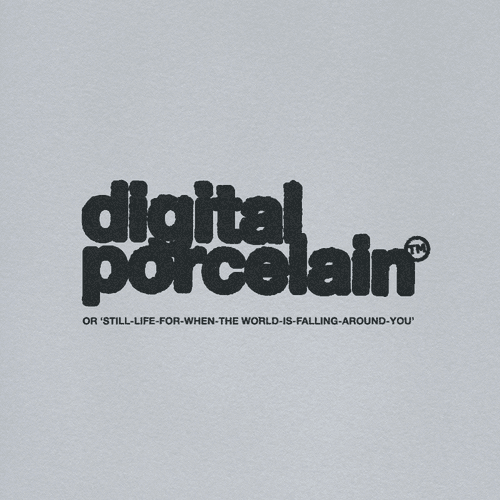 Digital Porcelain: Or "Still-Life-For-When-The-World-Is-Falling-Around-You"