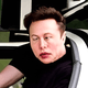 Doc Musk Stops His Future - old