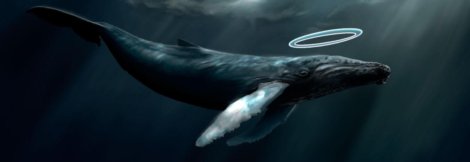 The-God-Whale bannière