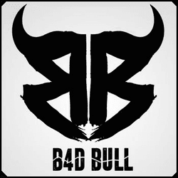 B4D BULL collection image