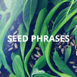 SEED PHRASES (SINGLES COLLECTION) collection image