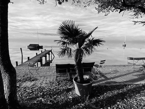 MBS Art Photography