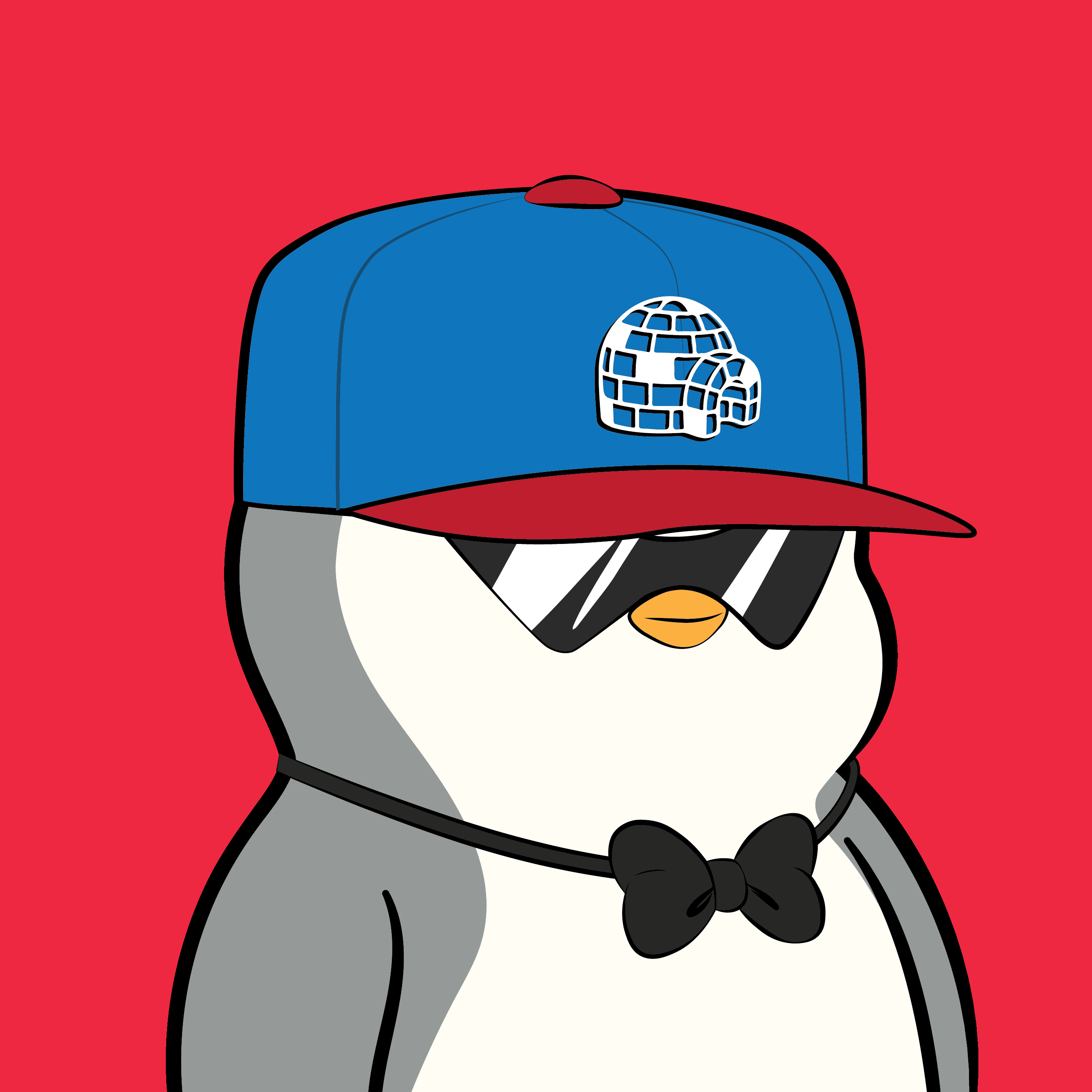 Pudgy Penguin #1802
